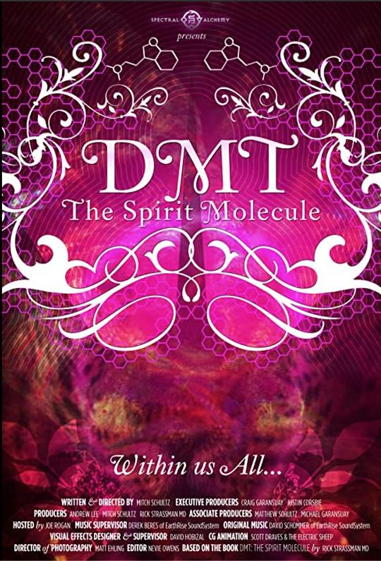 二甲基色胺：精神分子 DMT: The Spirit Molecule (2014)