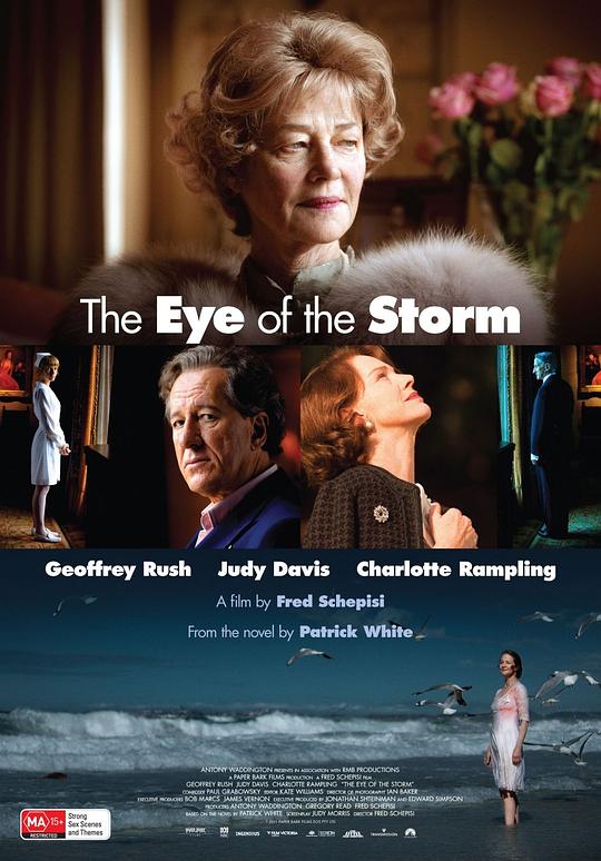 风暴之眼 The Eye of the Storm (2011)