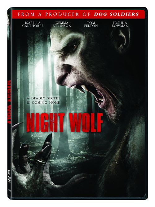 夜狼 Night Wolf (2012)