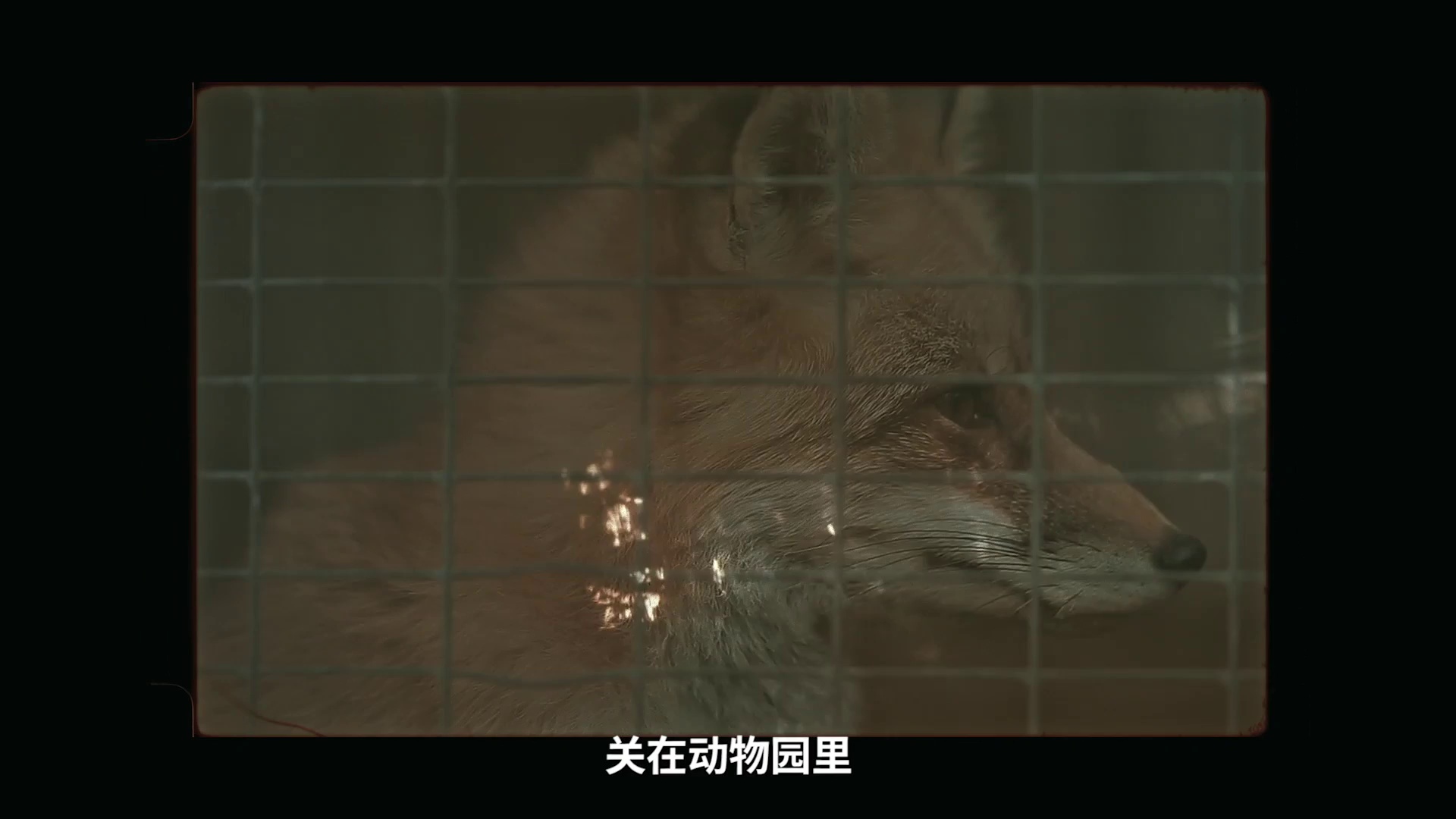 按下暂停，躺平 (2020)