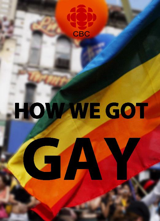 何以志同 How We Got Gay (2013)