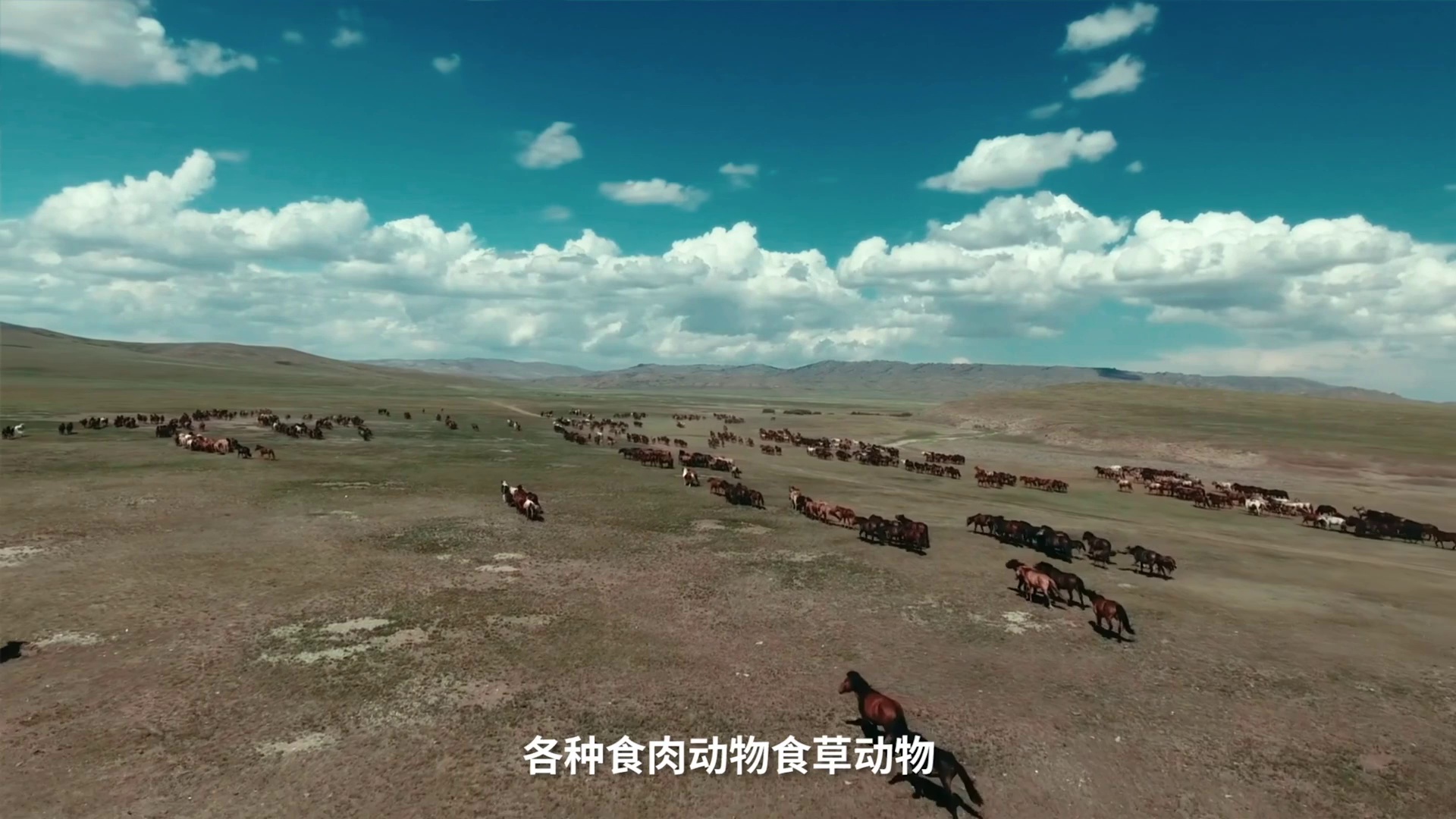 按下暂停，躺平 (2020)