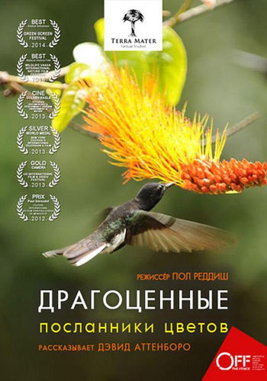 蜂鸟：宝石般的信使 Hummingbirds Jewelled Messengers (2012)