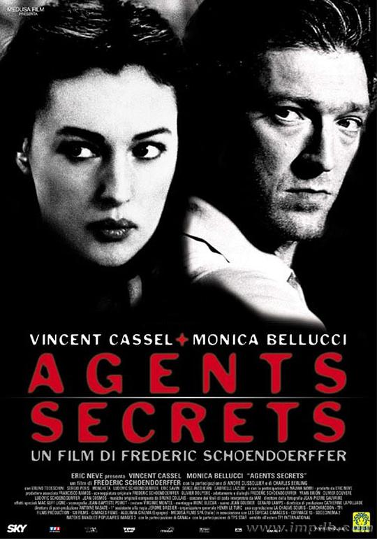 超级特工 Agents secrets (2004)