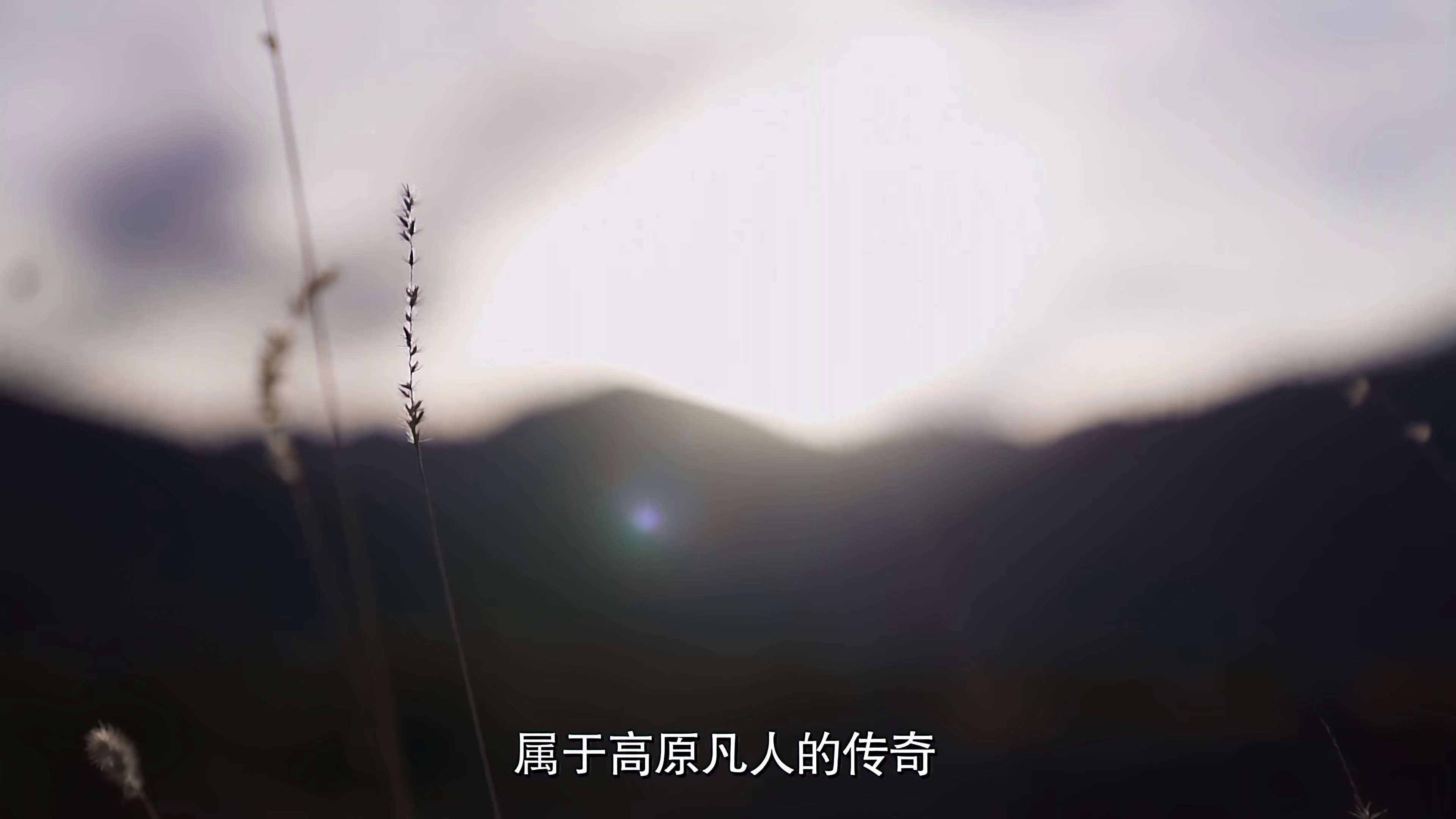 你好！新西藏 (2022)