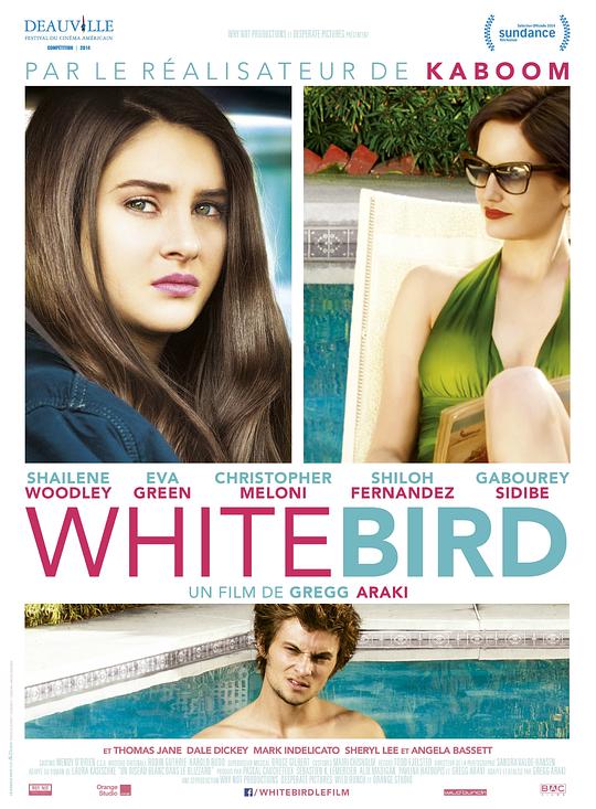 暴风雪中的白鸟 White Bird in a Blizzard (2014)
