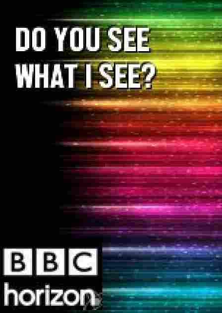 BBC 地平线系列: 你看到我所见了么 BBC Horizon: Do You See What I See? (2011)