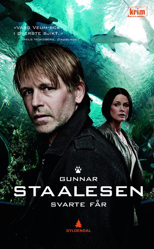 黑羊 Varg Veum - Svarte får (2011)