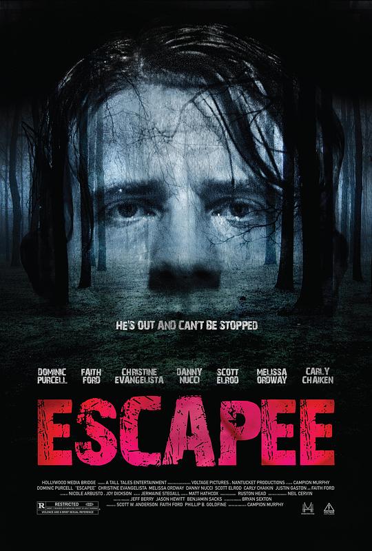 逃犯 Escapee (2011)