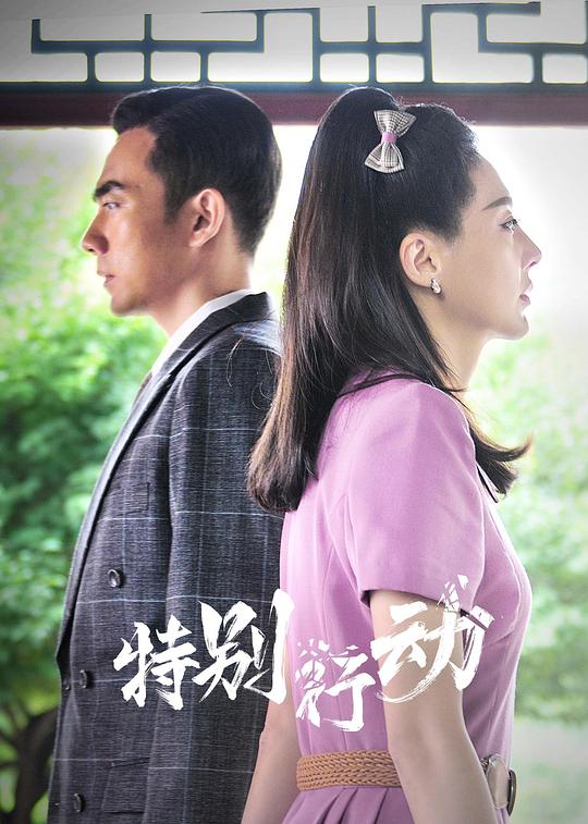 特别行动 (2024)