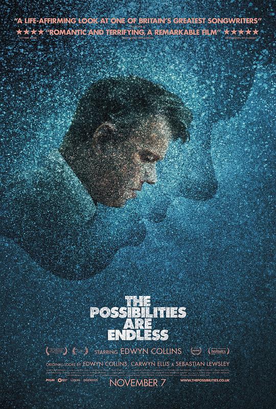 无限可能 The Possibilities Are Endless (2014)