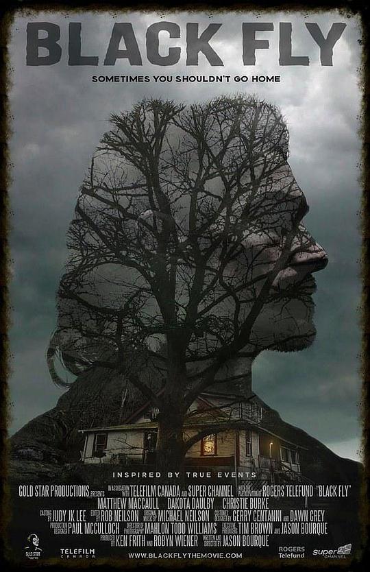 黑蝇 Black Fly (2014)