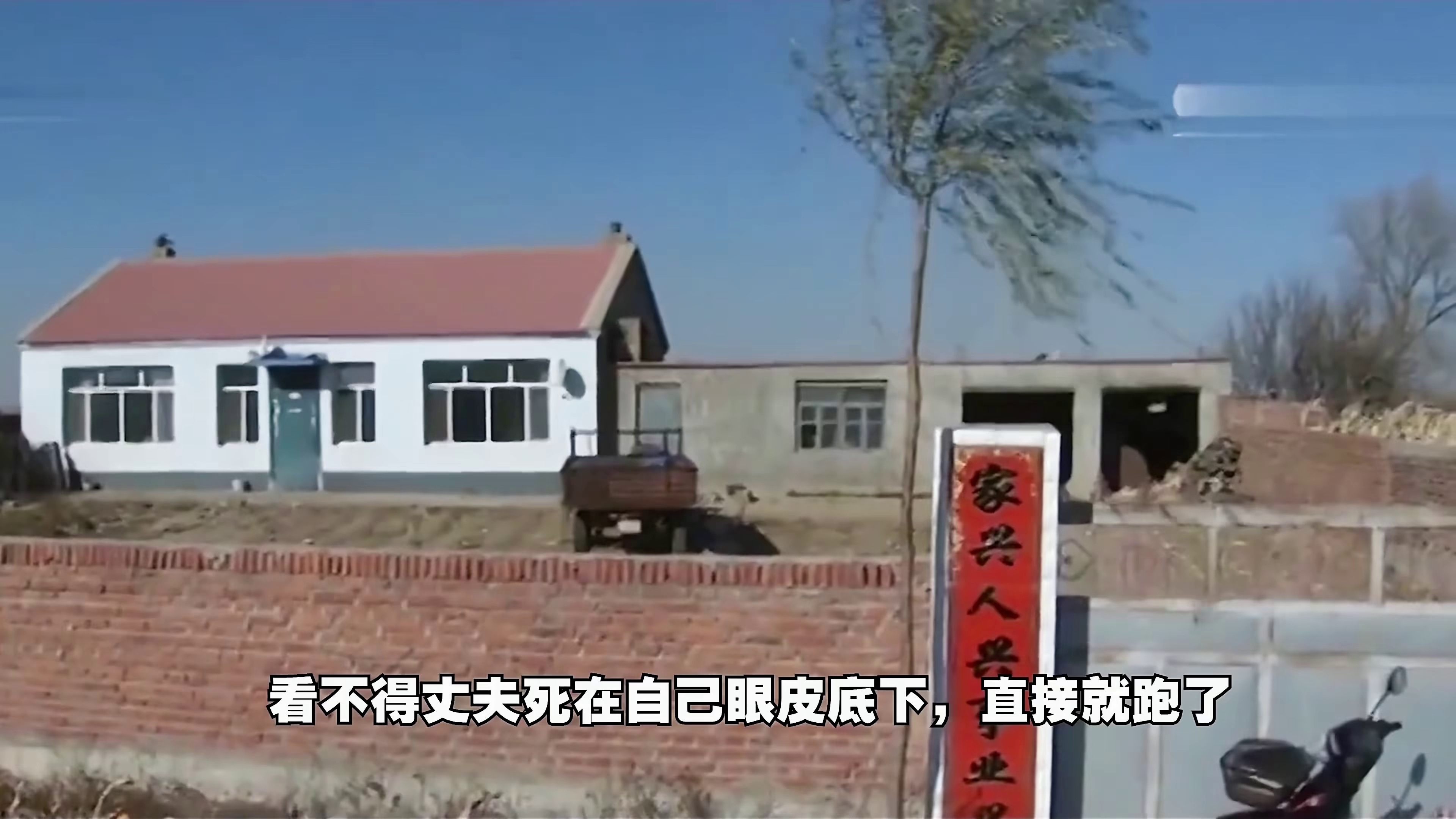 东方谜案录 (2024)