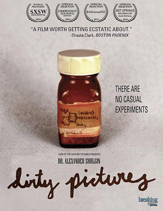 迷幻传奇 Dirty Pictures (2010)