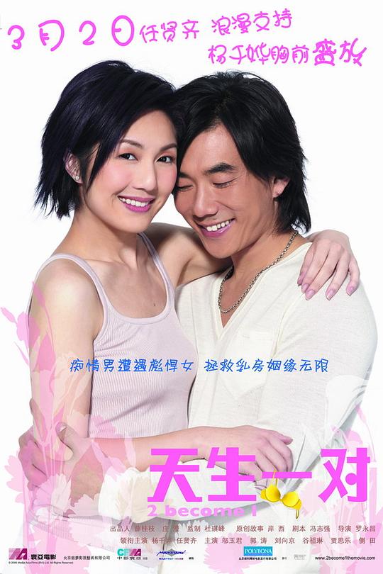 天生一对 (2006)