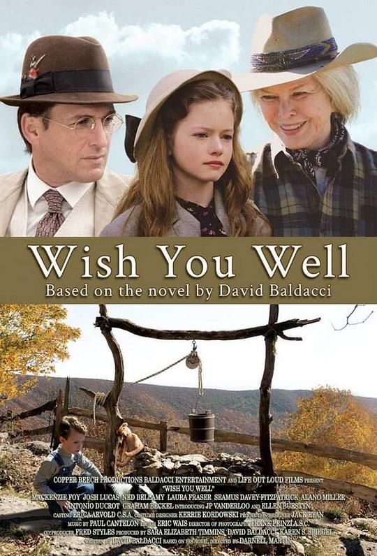 愿你一切安好 Wish You Well (2015)