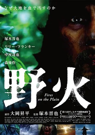野火 (2014)
