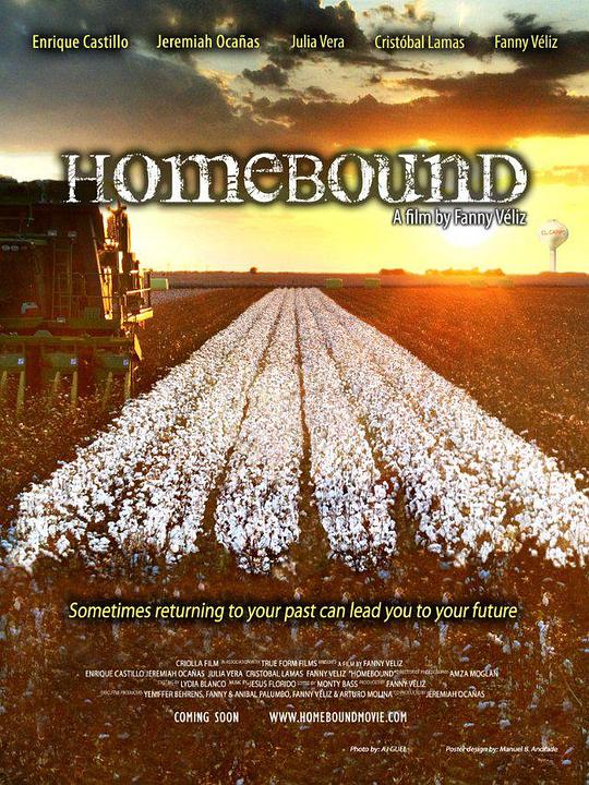 回乡 Homebound (2013)